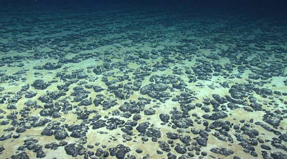 sea bed
